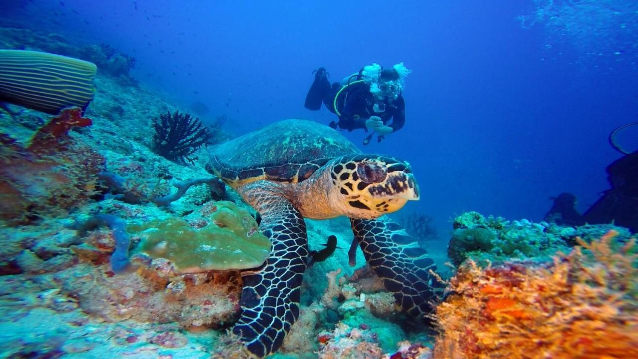 فندق Club Kaafu Maldives ديفوشي المظهر الخارجي الصورة